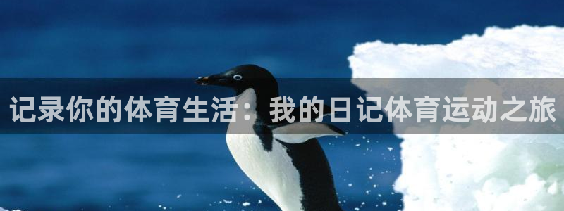 xc体育：记录你的体育生活：我的日记体育运动之旅