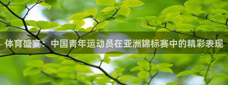 xc体育app官方网站：体育盛宴：中国青年运动员在亚洲锦标赛中的精彩表现
