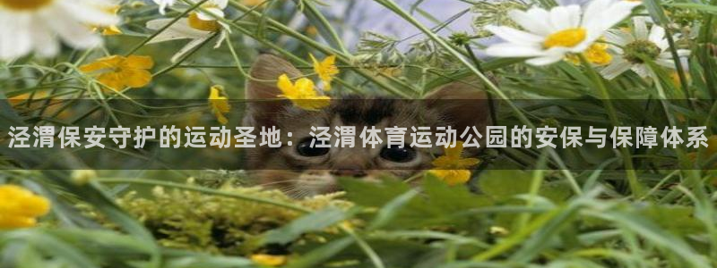 xc体育app官方网站：泾渭保安守护的运动圣地：泾渭体育运动公园的安保与保障体系