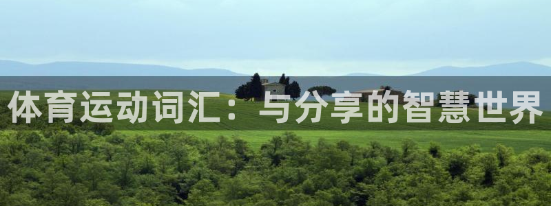 xc体育app官方网站：体育运动词汇：与分享的智慧世界
