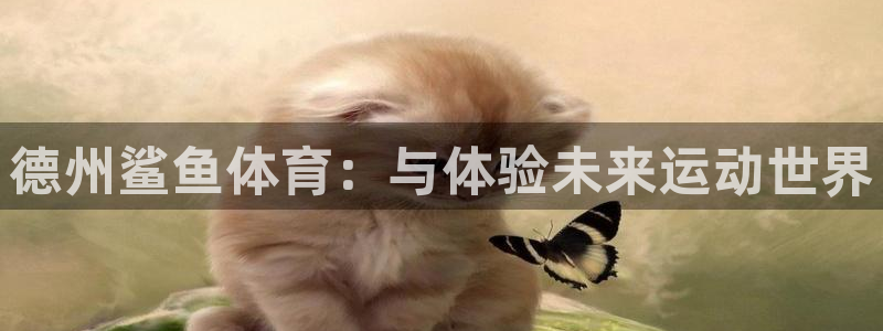 xc体育app官方网站：德州鲨鱼体育：与体验未来运动世界